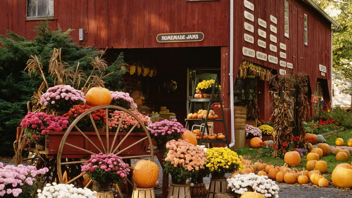 Pumpkins and flowers outside of local market